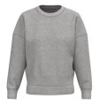 Dames Sweater Native Spirit Ecologische NS439 Moon Grey Heather